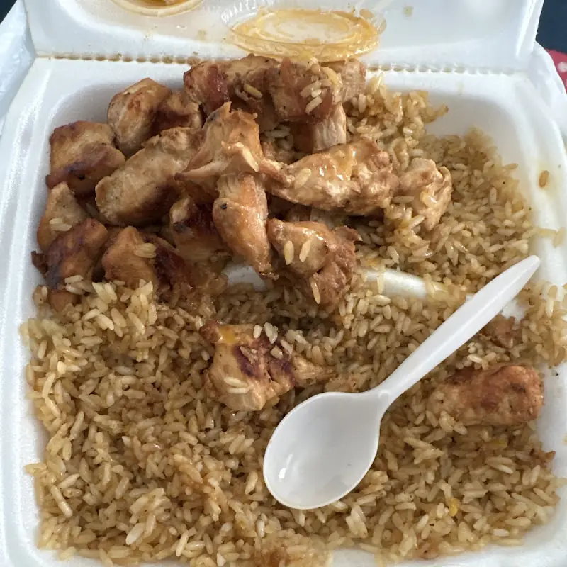 Tokyo Hibachi Express-food truck