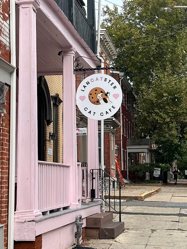 LanCATster Cat Cafe