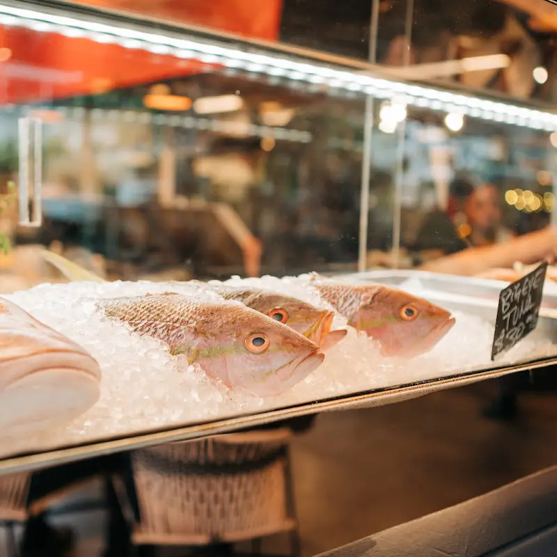 Miami Shores Fish Market "The Shores"