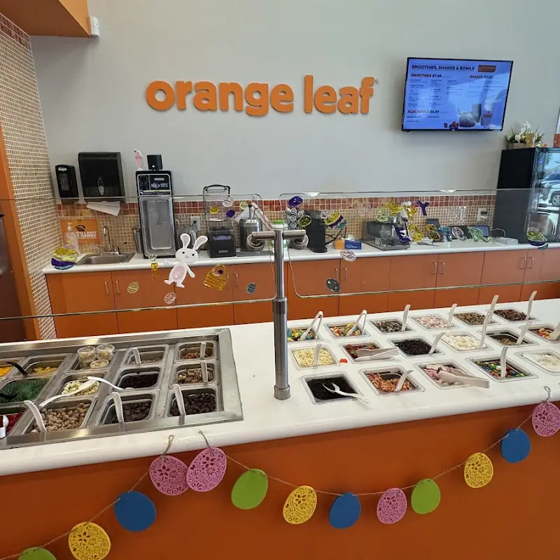 Orange Leaf Frozen Yogurt