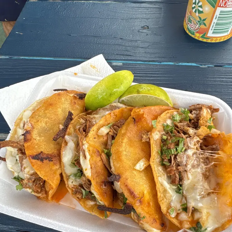 Mr Taco USA