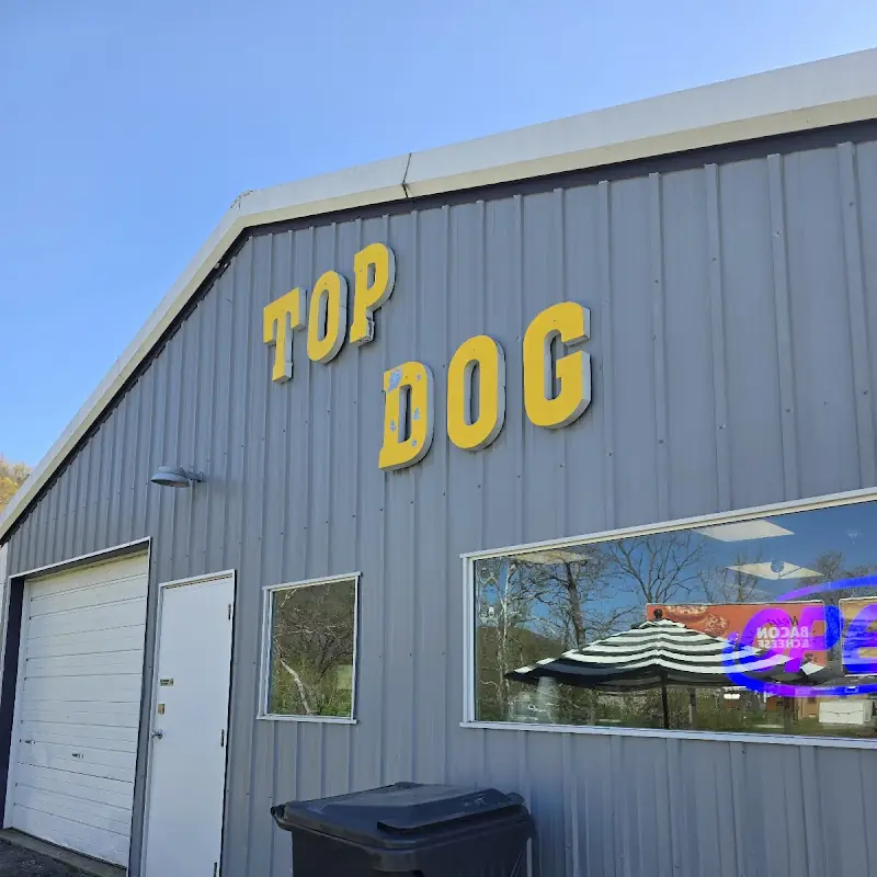 Pulled Pork BBQ Dog