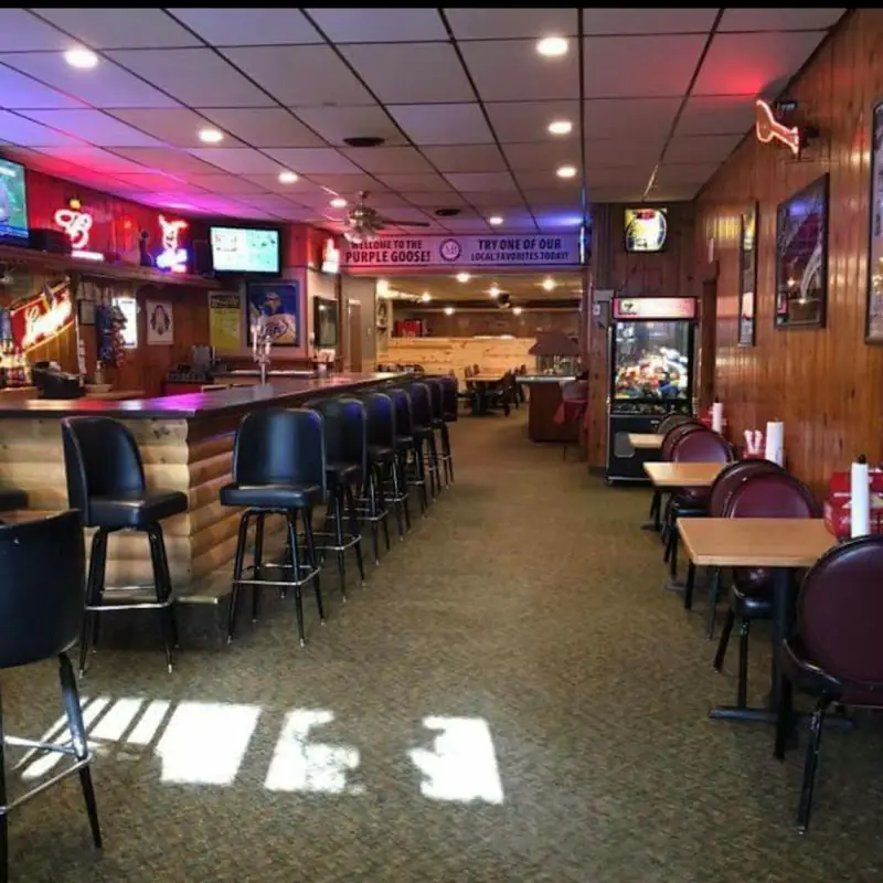 The Purple Goose