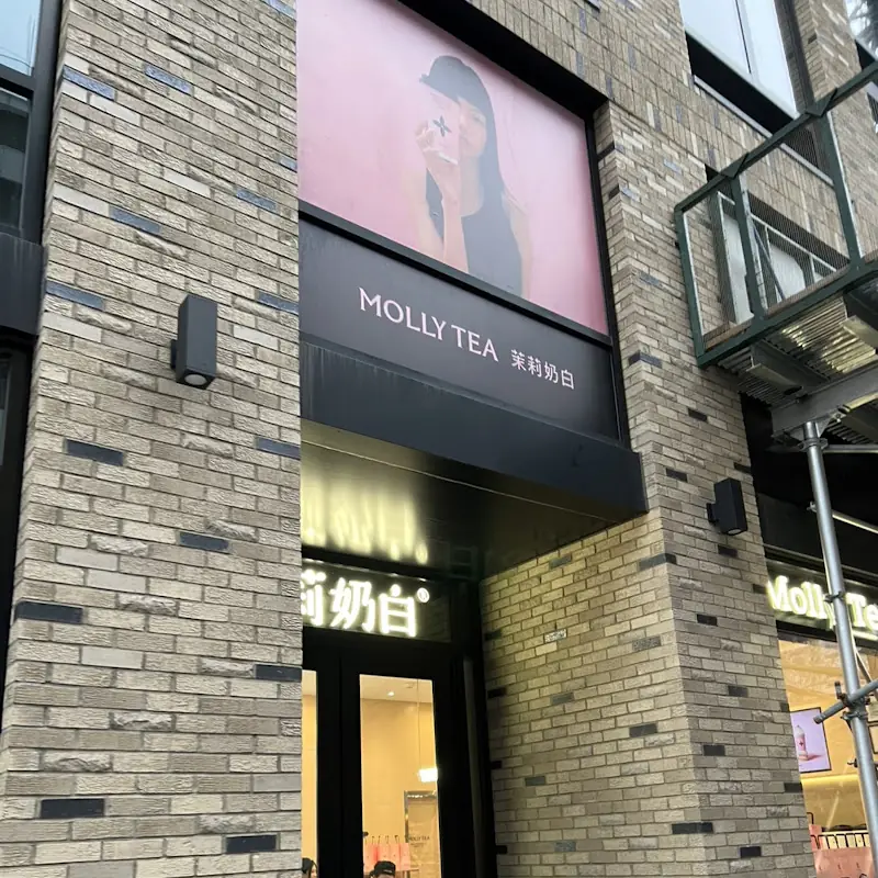 Molly Tea Jersey City