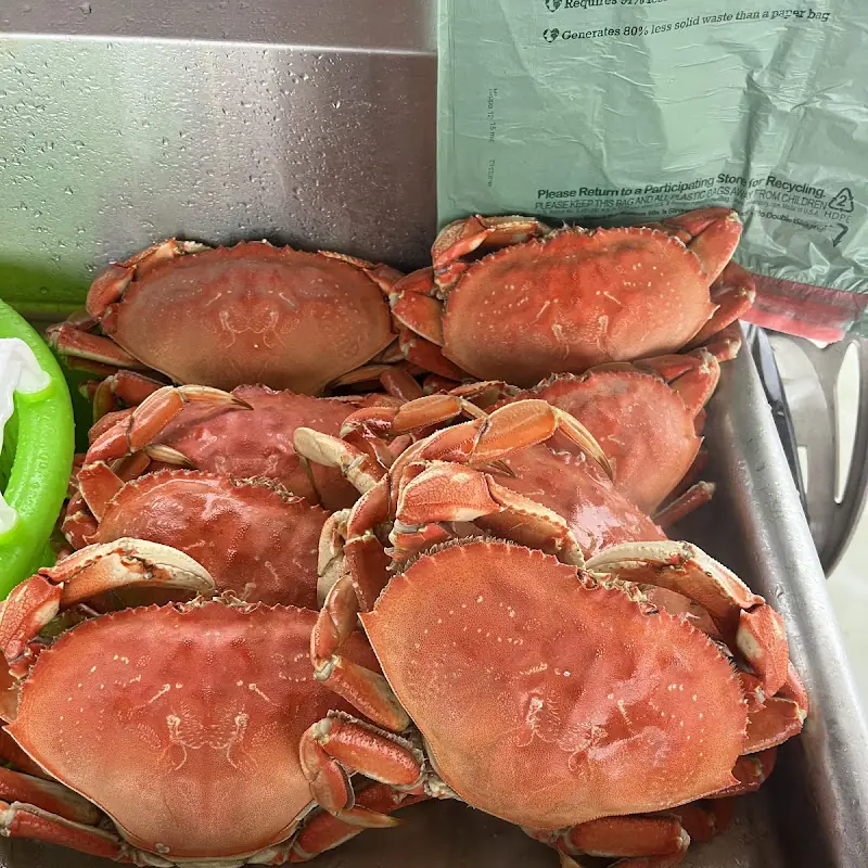 Bounder’s Fresh Crab
