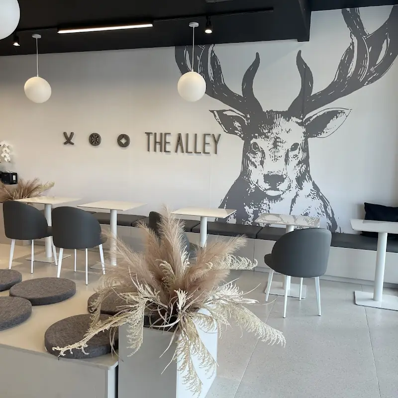 The Alley