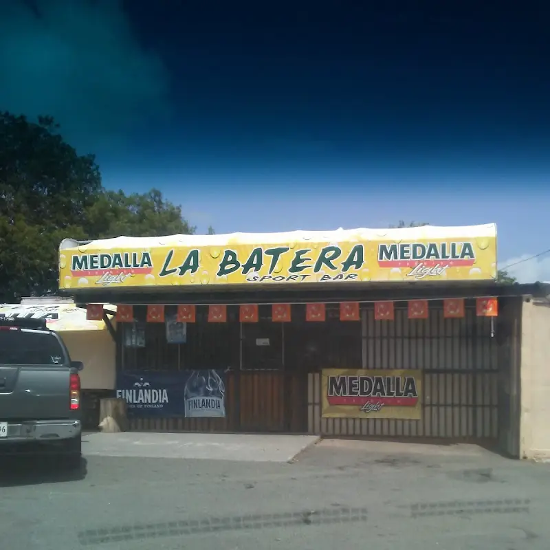 Carne Frita 1/2 Orden / Fried Steak 1/2 Order