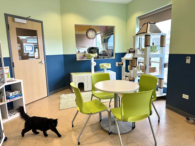 Tree House Cat Cafe (Reserve your spot today!)