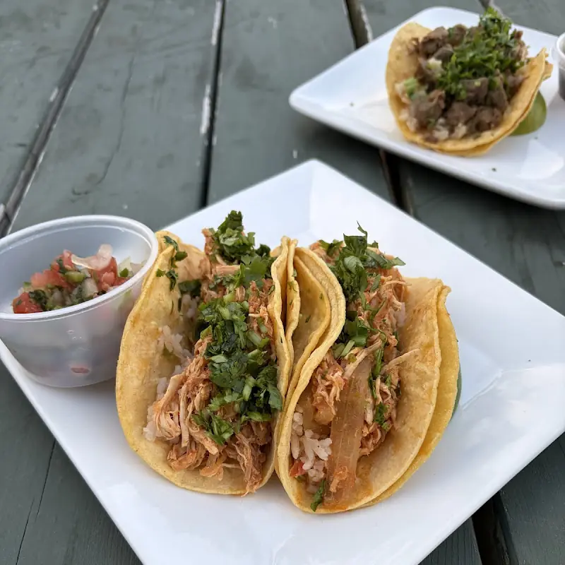 Pork In Salsa Verde Burrito