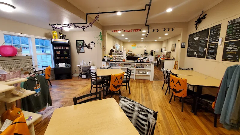 Coffee Cats Cafe