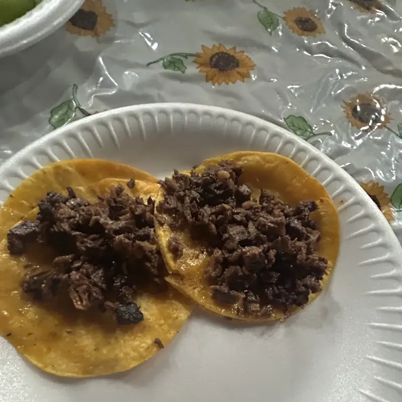 Tacos Dorados / Golden Brown Tacos