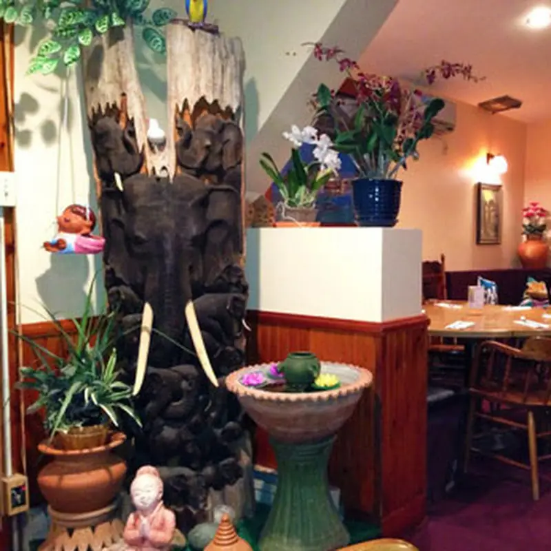 Royal Orchid | Thai Restaurant