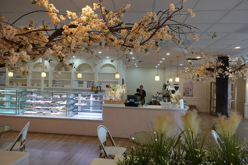 Whipped Bakery & Cafe Austin