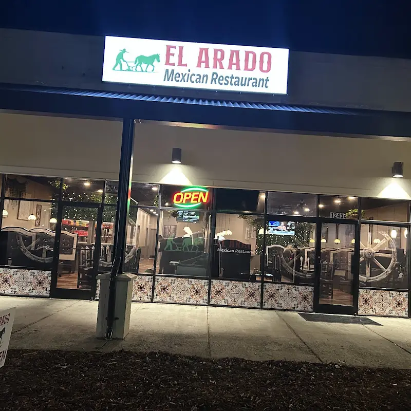 Grilled Steak or Chicken Soft Taco