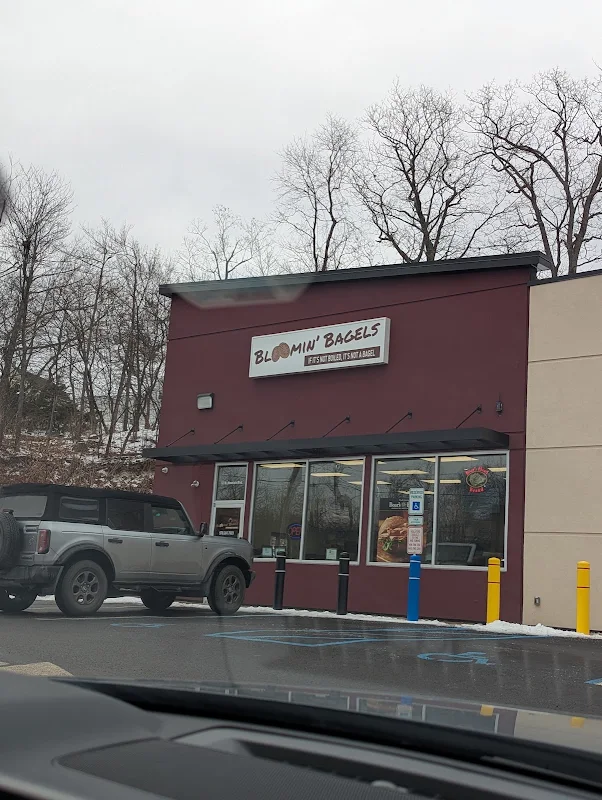 Bloomin' Bagels of Mountain Top