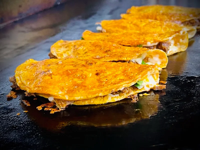 Birria Tacos