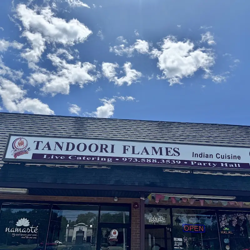 Tandoori Flames