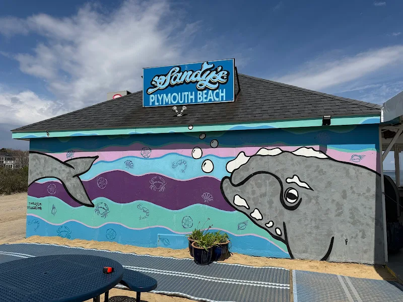 Sandy's