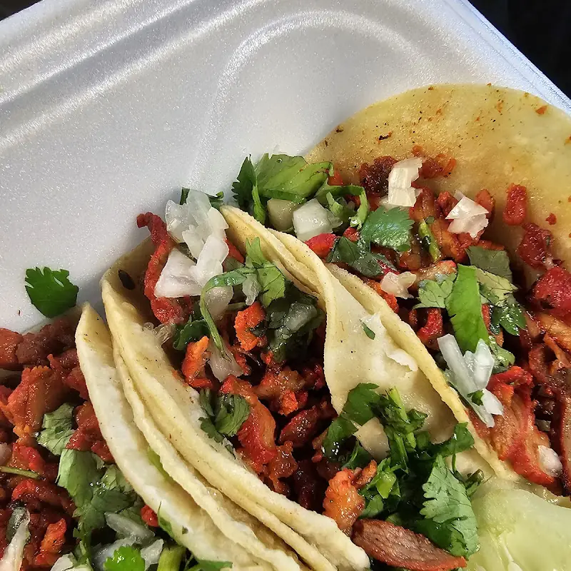 Al Pastor Cheese Quesadilla (Gringa)