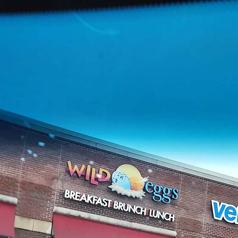 Wild Eggs