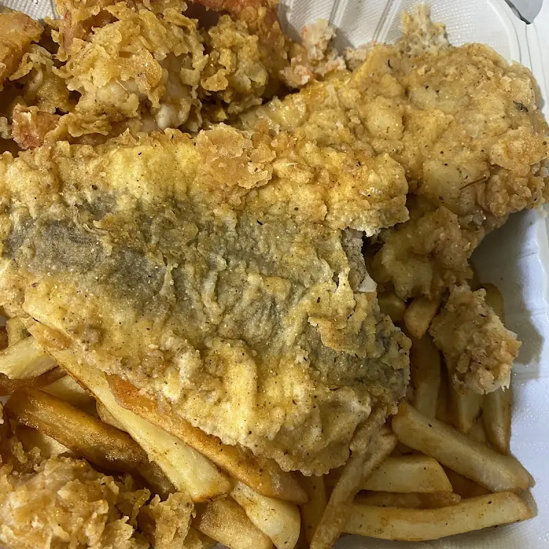 Ocean Perch