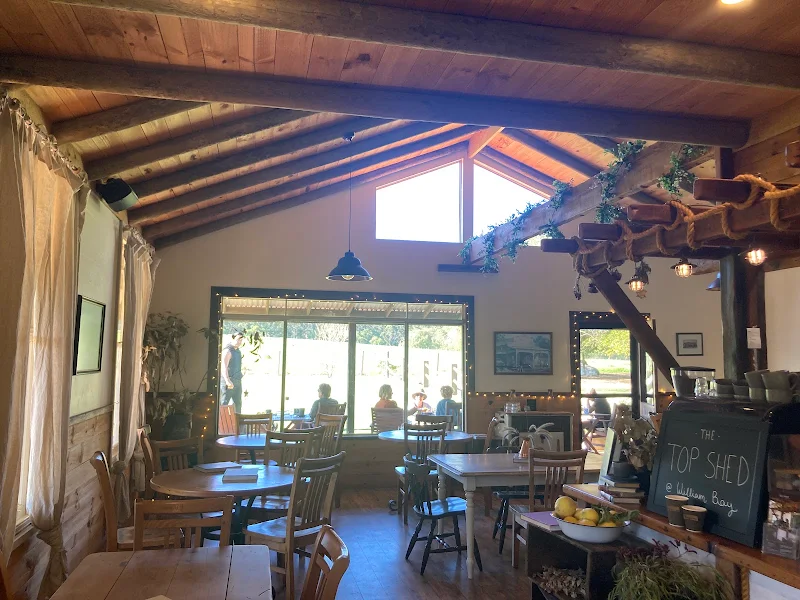 The Top Shed