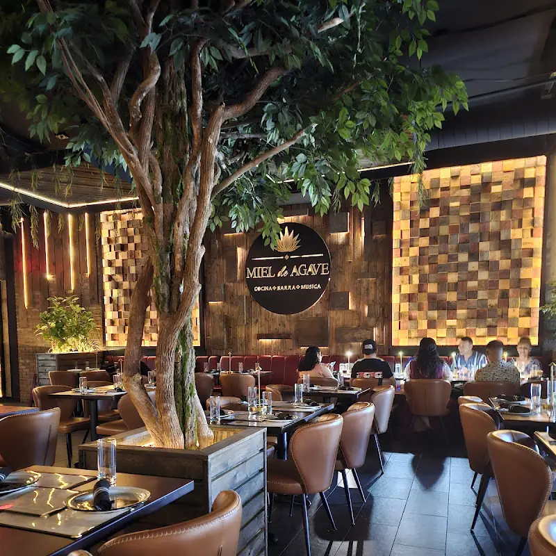 Miel de Agave Scottsdale