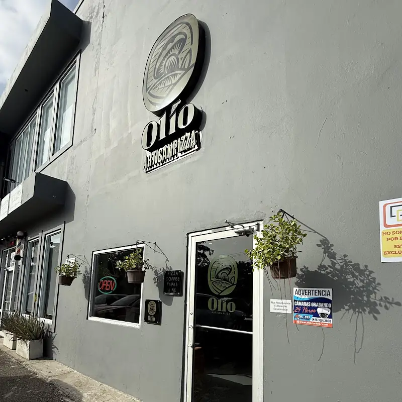 Olio Artisan Pizza