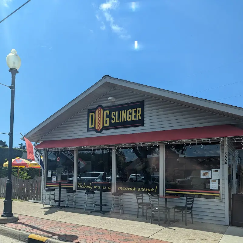 DogSlinger
