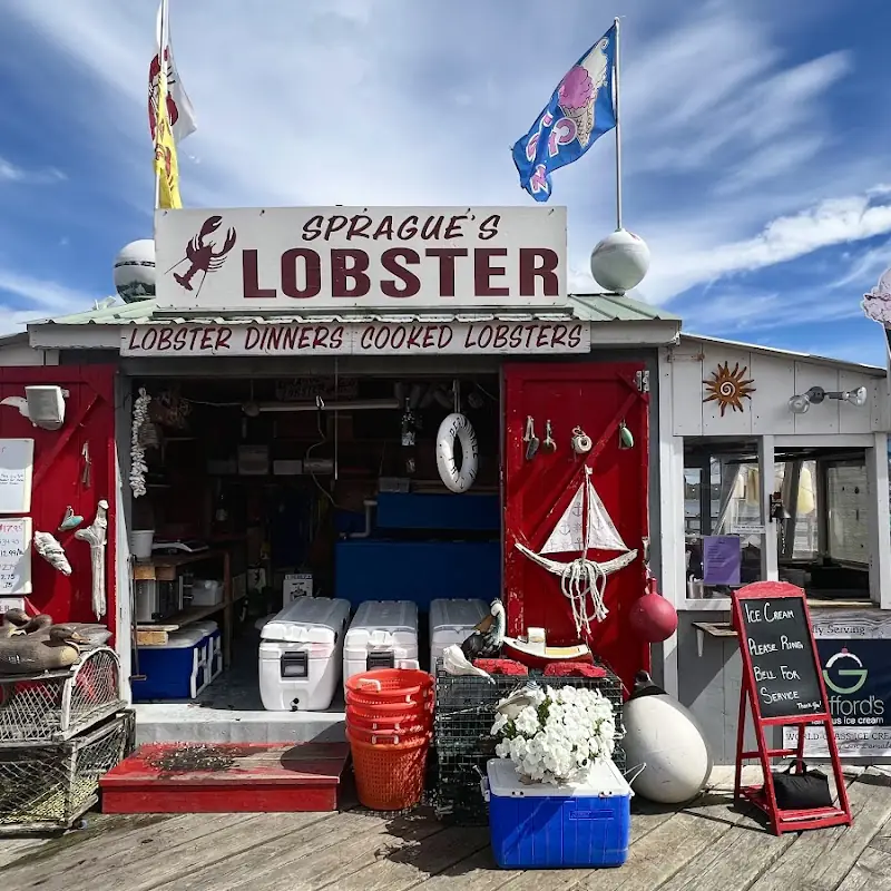 Sprague's Lobster