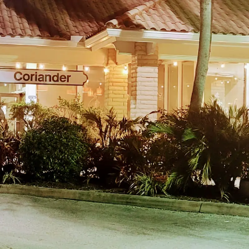 Coriander