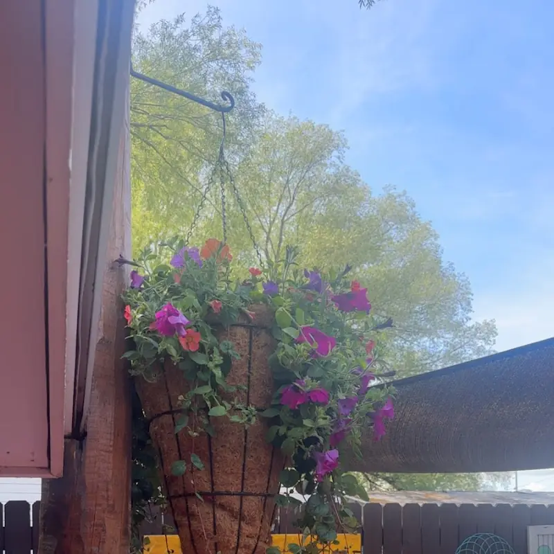 Nacho Mama's Cantina