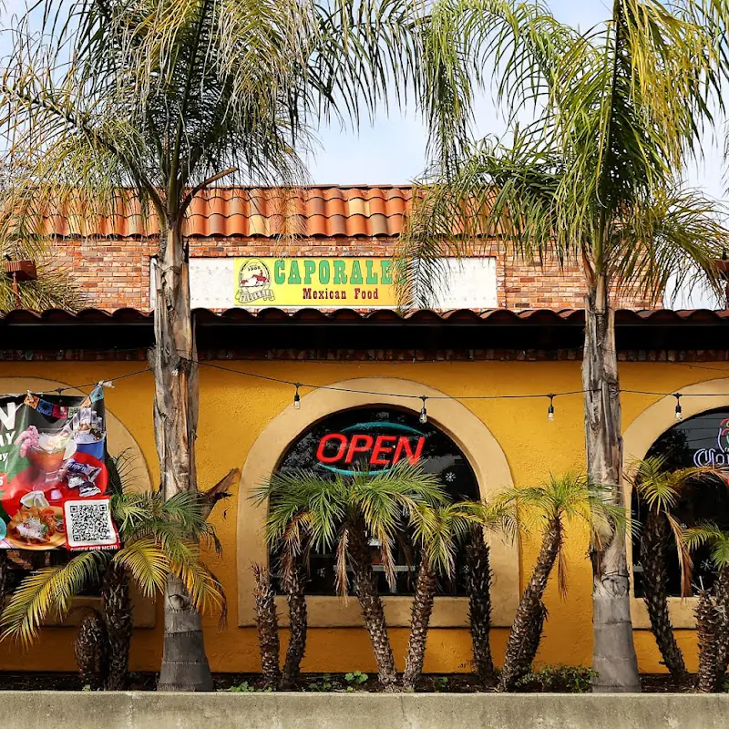 12 Tacos