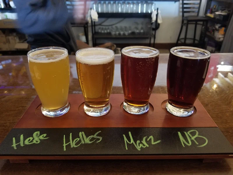 Wild Dogs Brewing Company