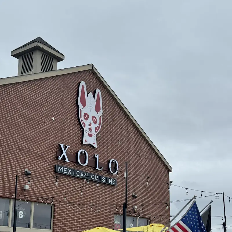 Xolo Mexican Cuisine