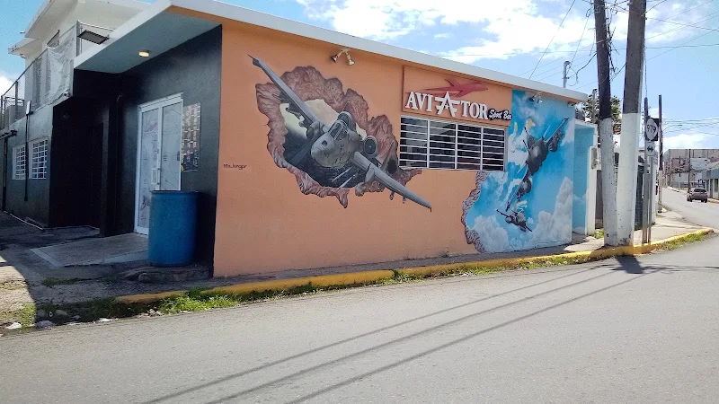 Aviator Sport Bar