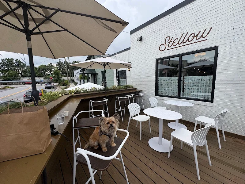 Stellow Coffee