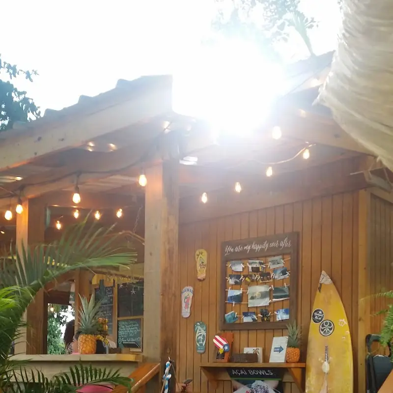 Backyard Açai