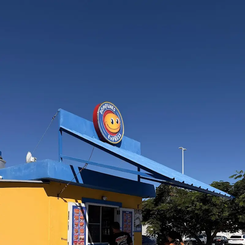 Domplines Express Centro del Sur Mall