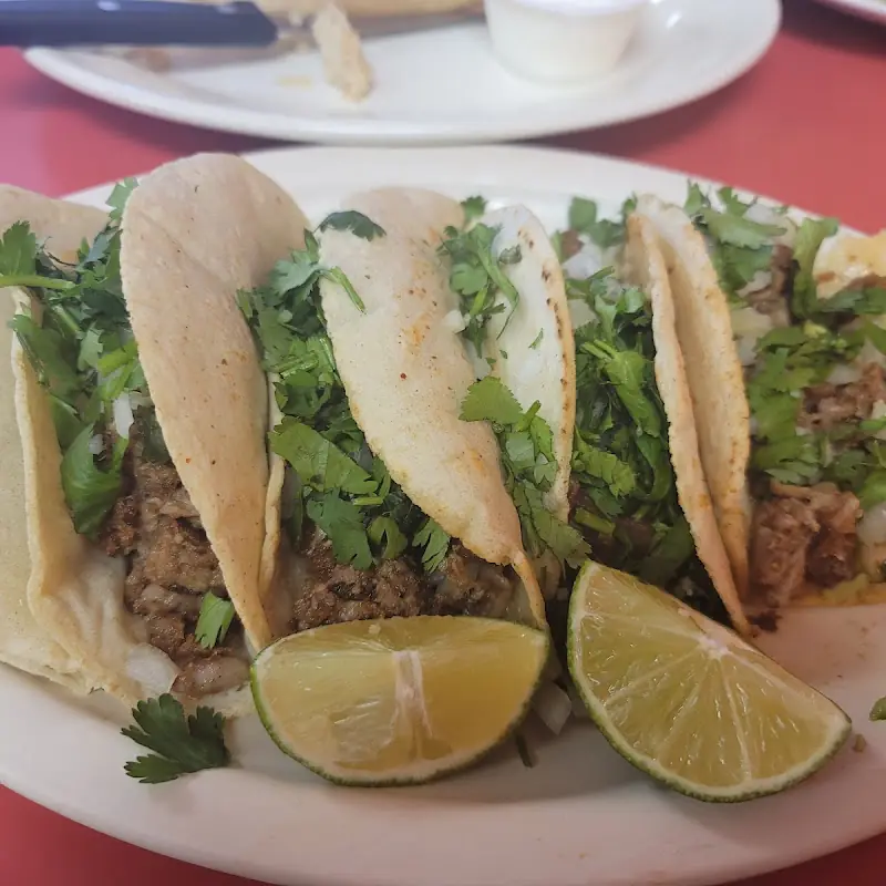 Chicken Fajita Chimichanga (1 pc)
