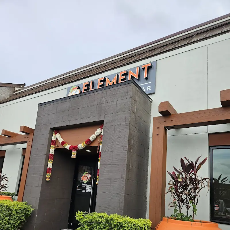 5th Element Indian Restaurant