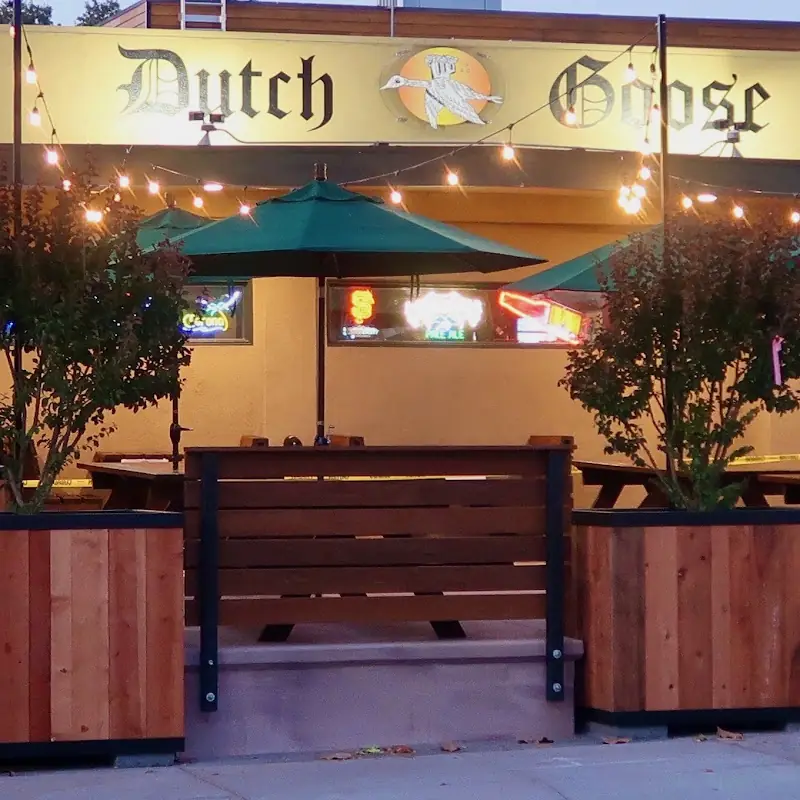 Dutch Goose