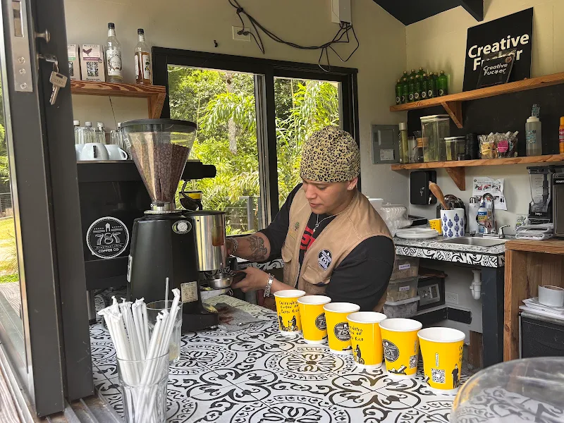 Hacienda Iluminada Coffee Farm
