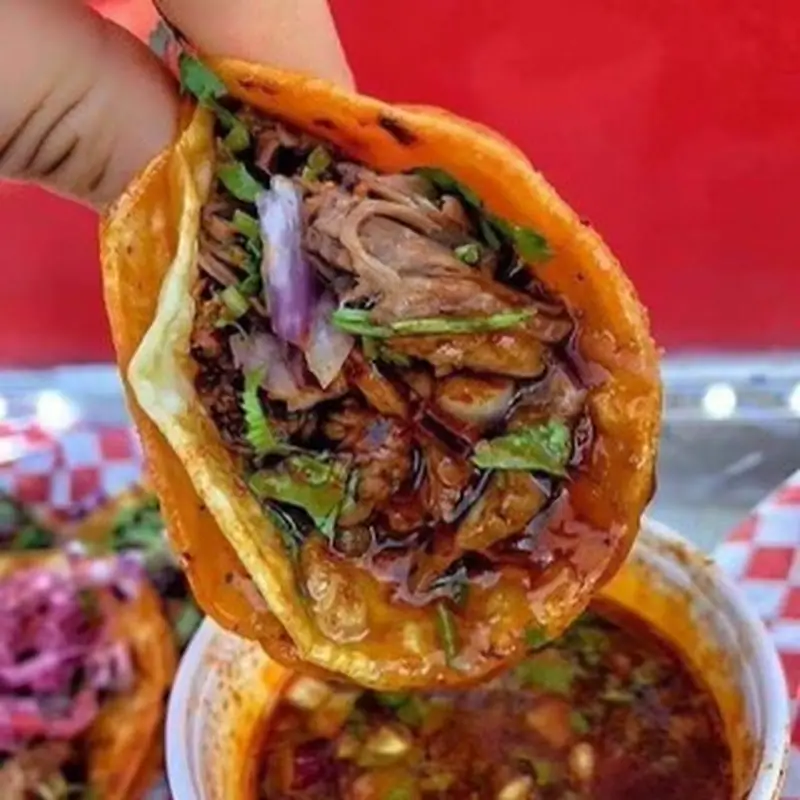Birria burrito