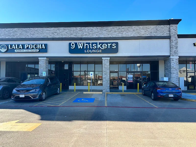 9 Whiskers Lounge