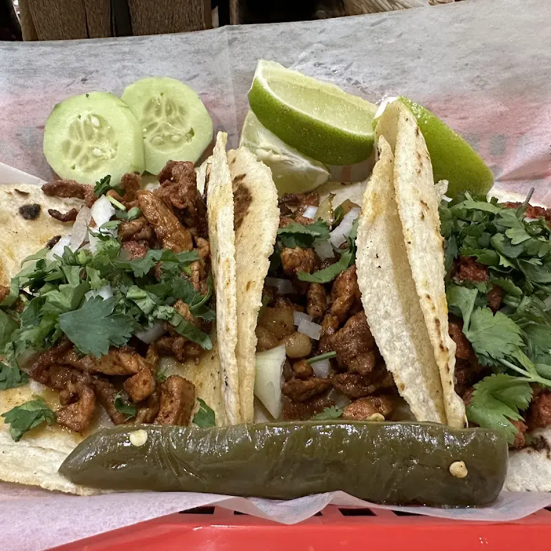 Mexican Tikal 2