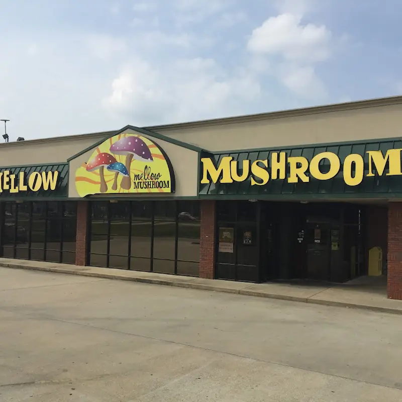 Mellow Mushroom Enterprise