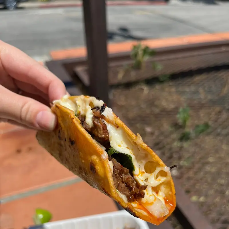burrito bowl