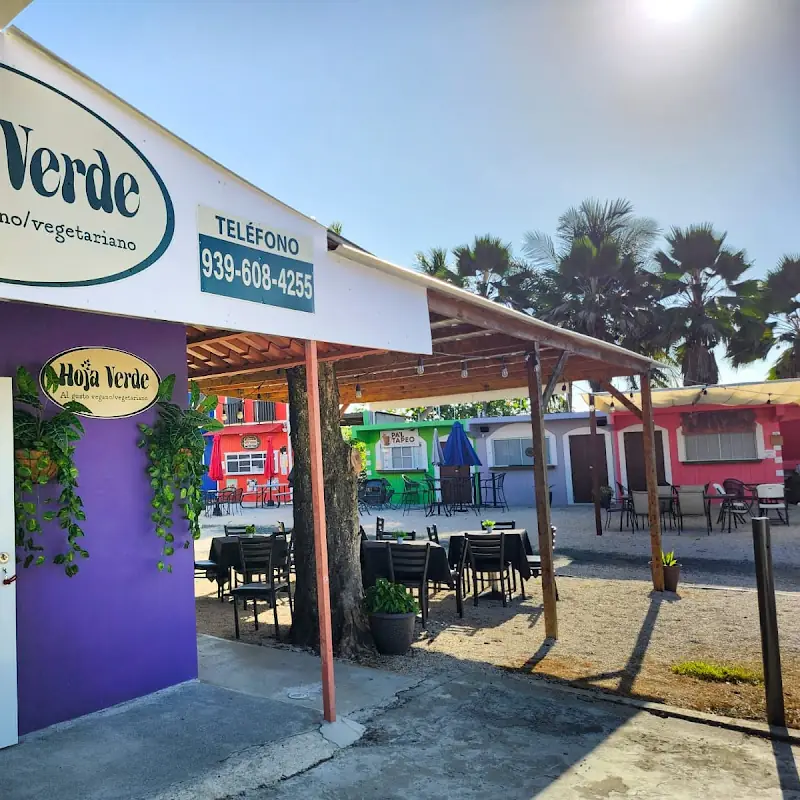 Hoja Verde - Al gusto vegano/vegetariano