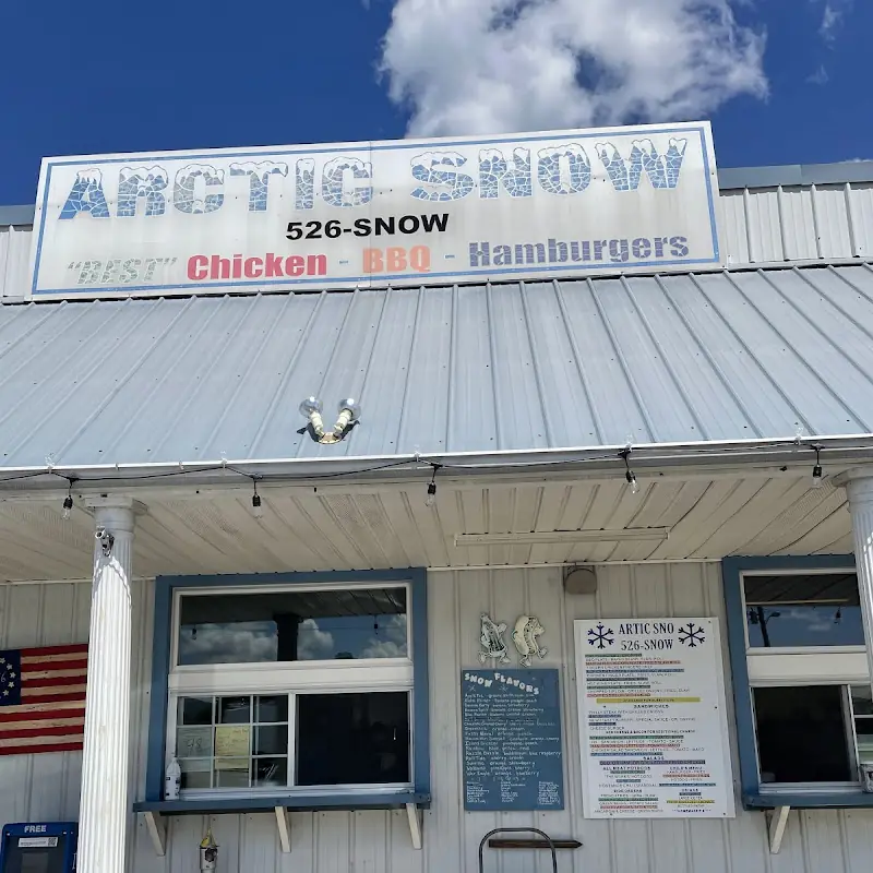 Arctic Snow